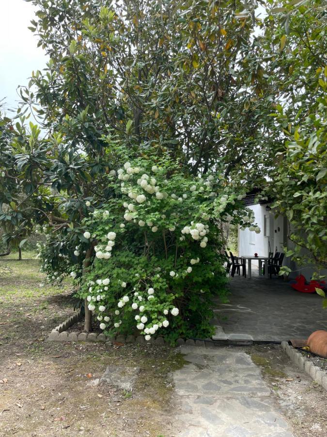 Irinis Cottage Kala Nera Exterior foto